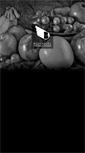 Mobile Screenshot of blueangel.com.mx